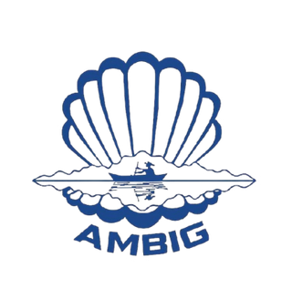 AMBIG